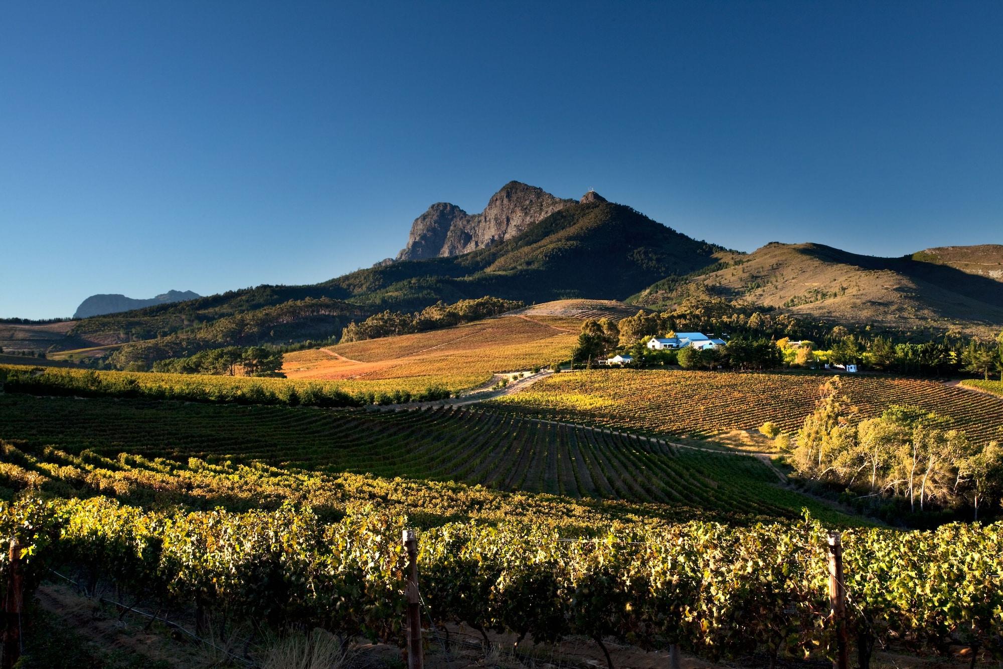 Marianne Wine Estate Bed and Breakfast Stellenbosch Eksteriør billede