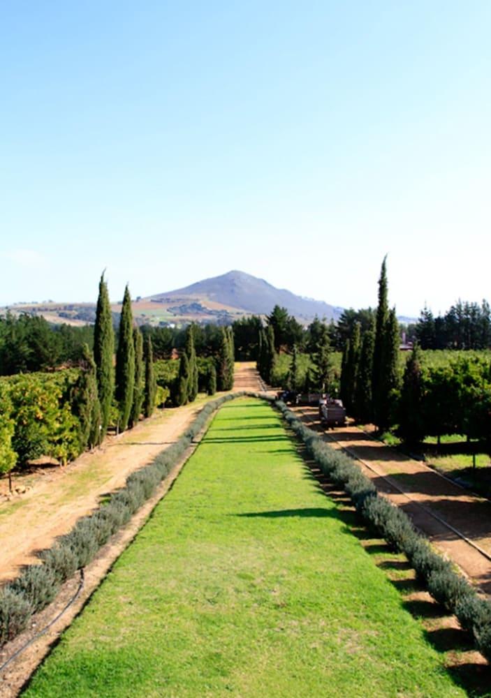 Marianne Wine Estate Bed and Breakfast Stellenbosch Eksteriør billede