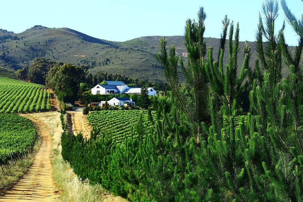 Marianne Wine Estate Bed and Breakfast Stellenbosch Eksteriør billede
