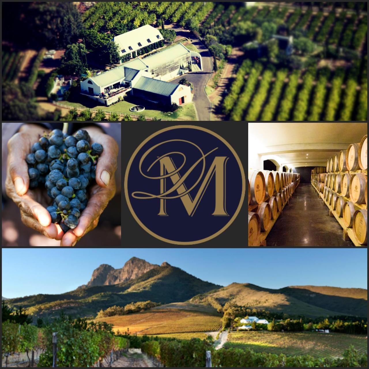Marianne Wine Estate Bed and Breakfast Stellenbosch Eksteriør billede